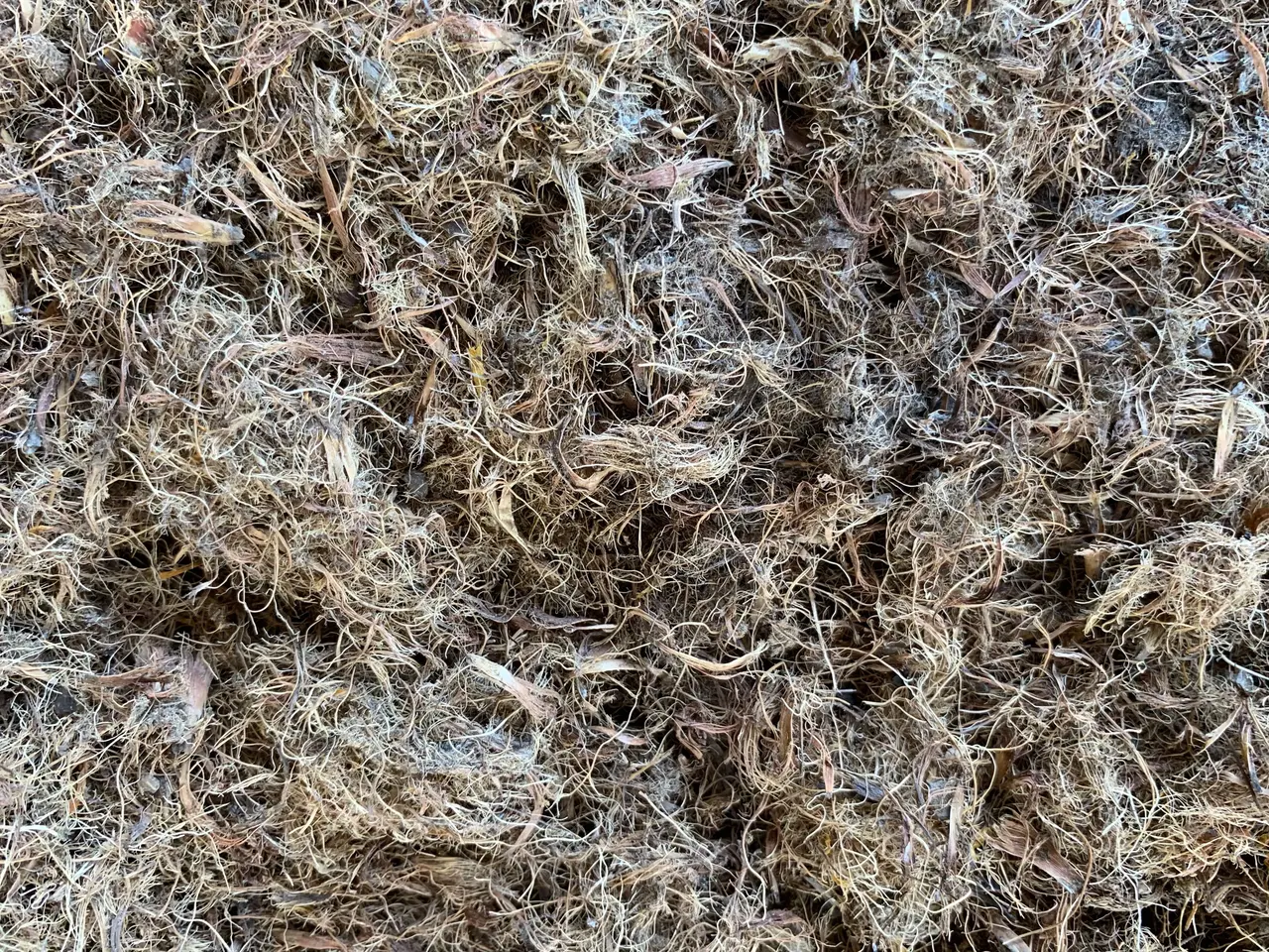 Chopped empty fruit bunch stacked as biomass fuel