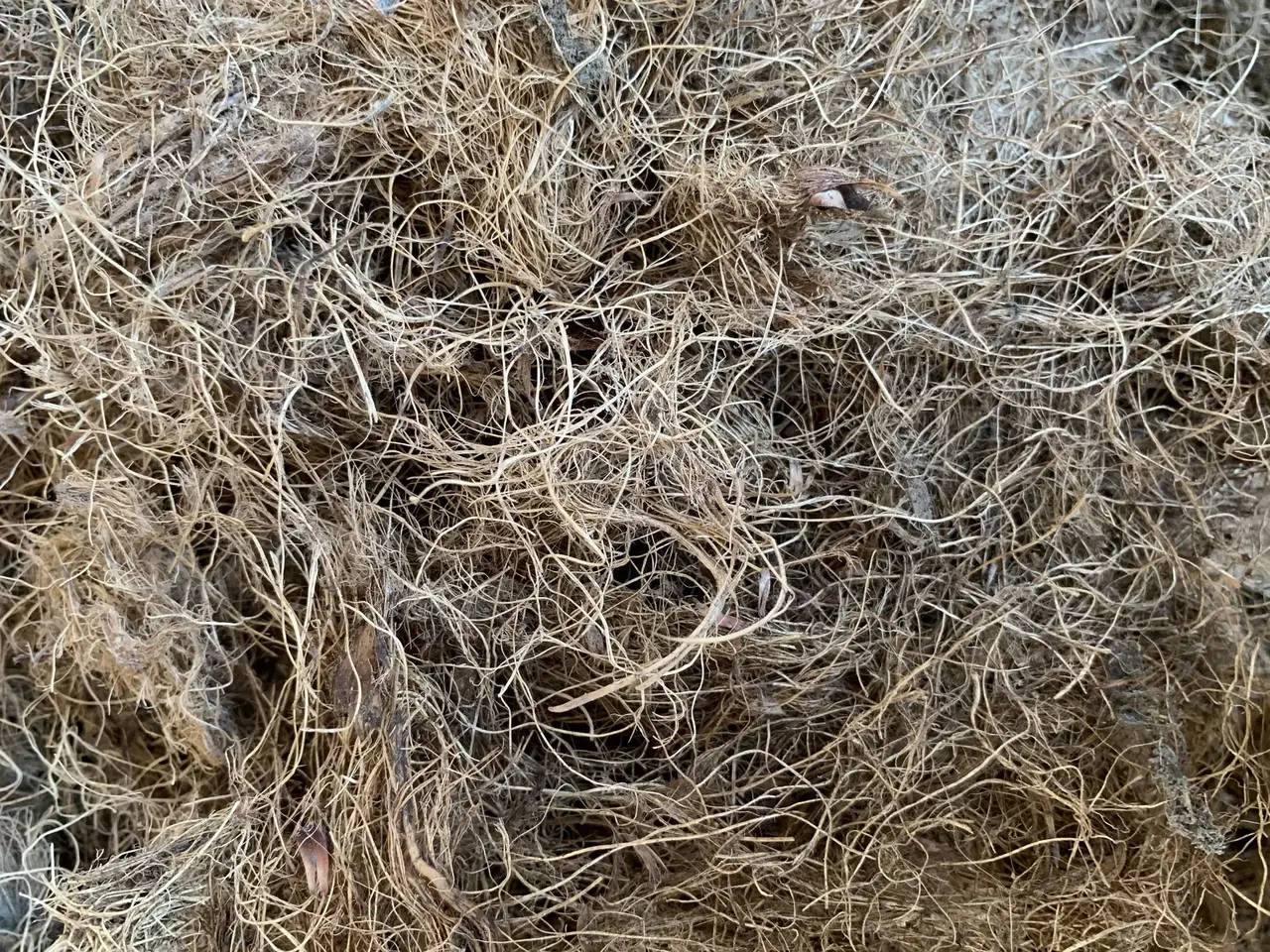 Palm fiber inside a mill